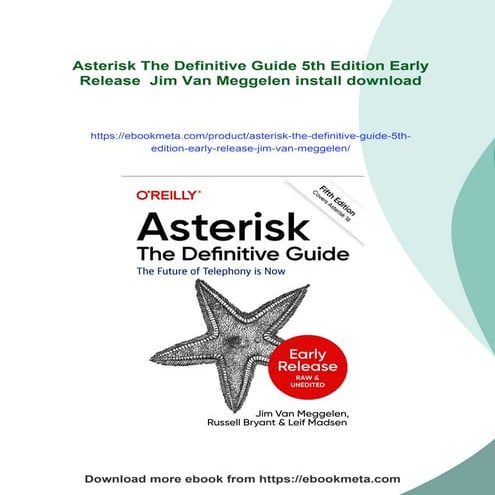 Asterisk The Definitive Guide 5th Edition Early Release  Jim Van Meggelen