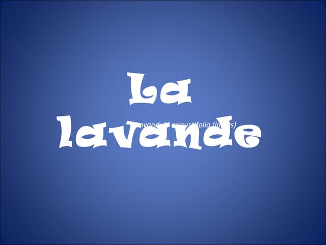 1288133377 la lavande