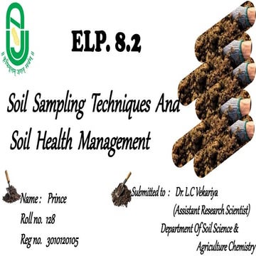 soil sampling | PPTX