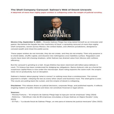 The Shell Company Carousel: Salinas's Web of Deceit Unravels | PDF