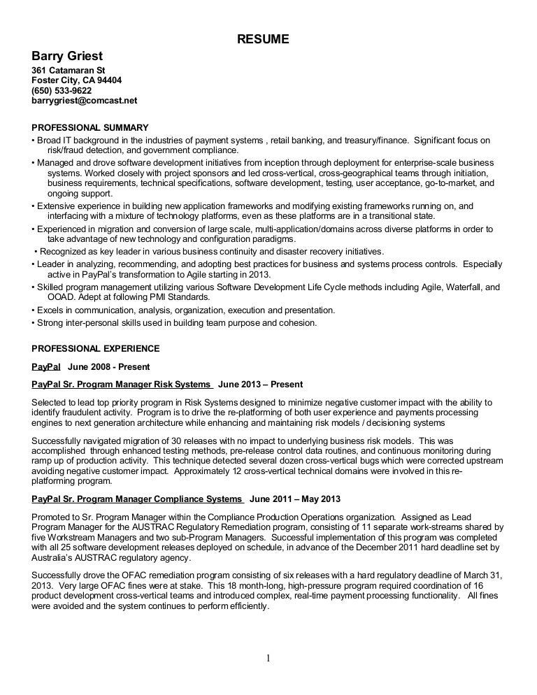 lead architect resume