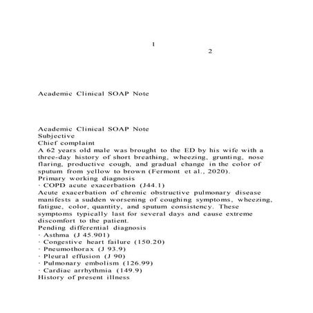 12Academic Clinical SOAP Note