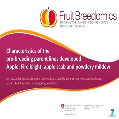 12 apple characteristics of prebreeding material kellerhals markus | PPTX
