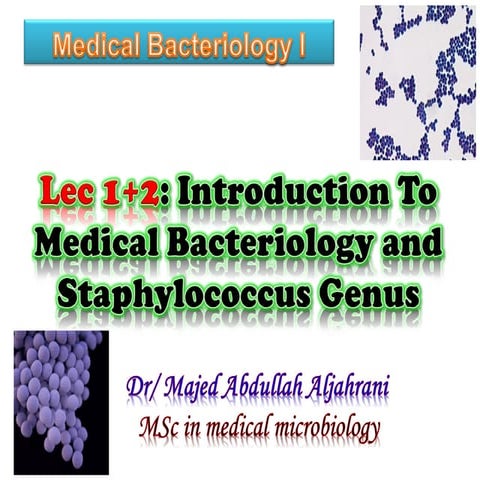 1 2 Bacteria 1 Pdf