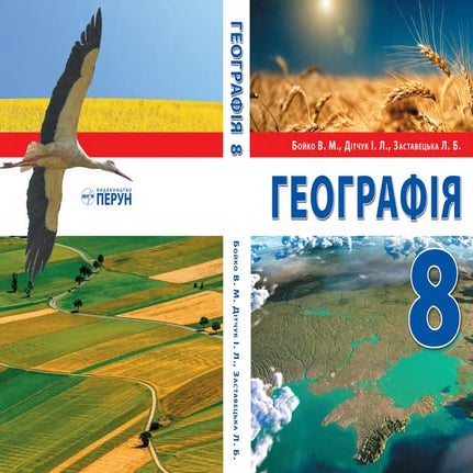 Підручник Географія 8 клас В.М. Бойко, І.Л. Дітчук, Л.Б. Заставецька ...