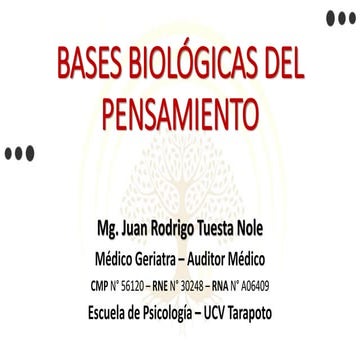 Bases biológicas del pensamiento