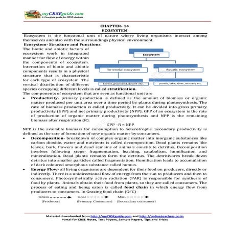 12 biology notes_ch14_ecosystem