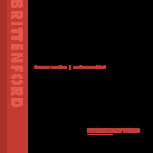 Non-Profit 2013 Financial Outlook Survey Report