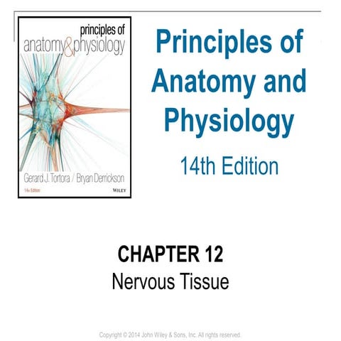 12 [chapter 12 nervous tissue]