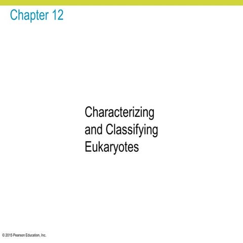 12 Characterizing and Classifying Eukaryotes_57ef00f5833c160603ca251ab45cf5f9...