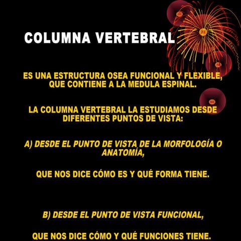 12 columna vertebral