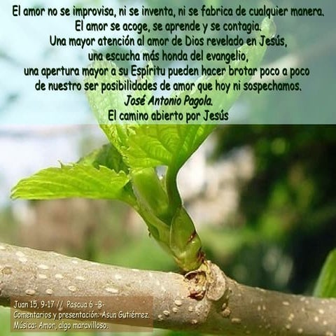 Lectio 12 de mayo de 2012