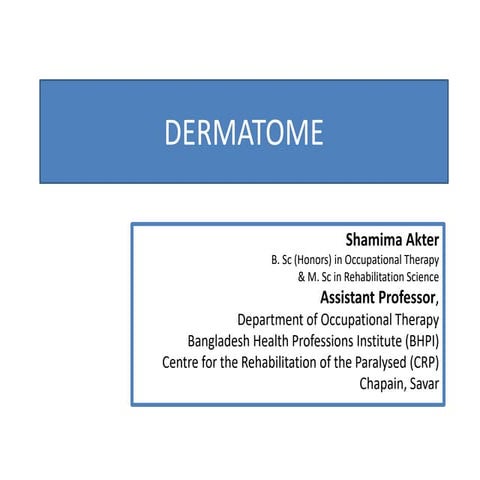 DERMATOME.pptx