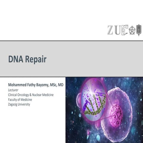 DNA repair