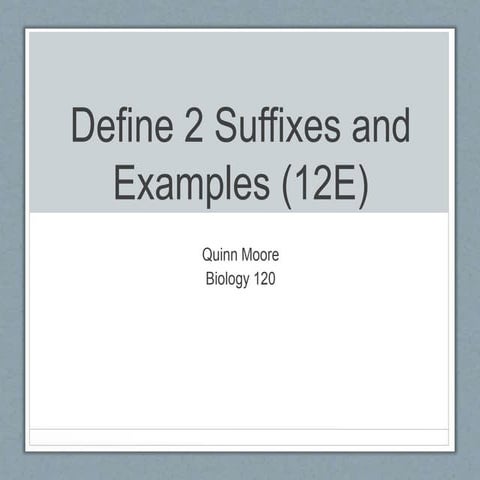 Chapter 12 Nervous System | PPTX