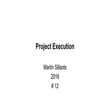 Project Execution