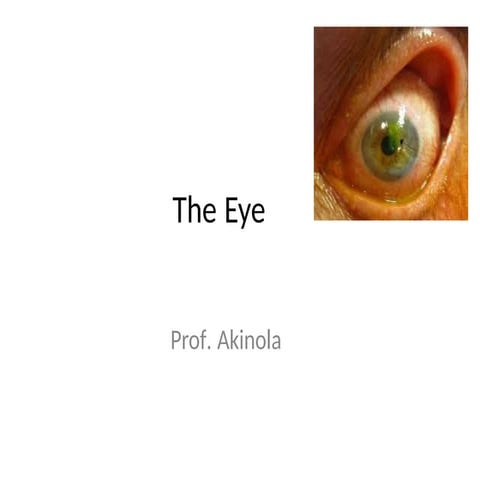 Diagrams and descriptions of  the_EYE.pptx