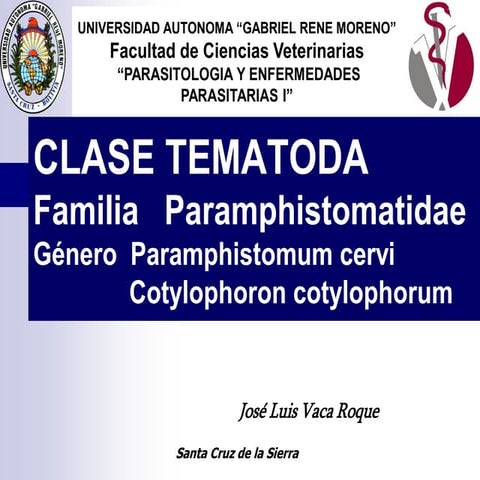 12 FLIA PARAMPHISTOMATIDAE.pdf