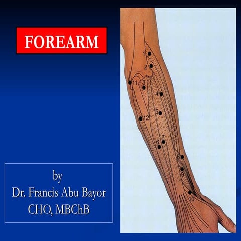 12 Forearm by Dr Smart.ppt377777337738228u