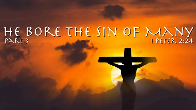 He Bore the Sin of Many - part 3