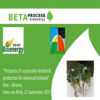 Prospects of sustainable feedstock ...