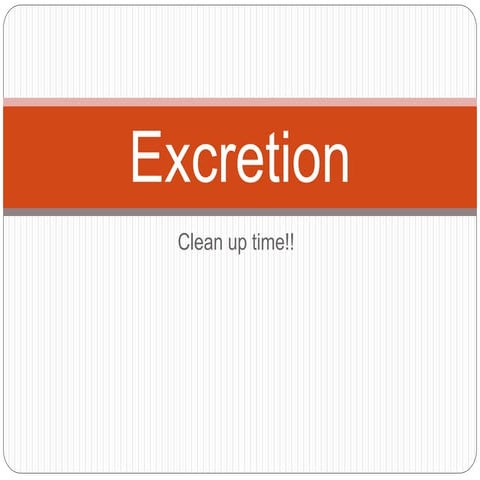 Ch12 homeostasis & excretion 2019