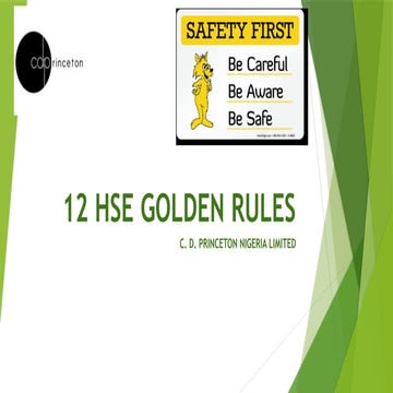 Comprehensive Guide to 12 HSE Golden Rules for Workplace Safety and ...