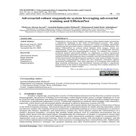 Adversarial-robust steganalysis system leveraging adversarial training and Ef...