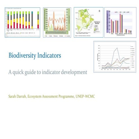 Beautiful view of Biodiversity Indicators In Urban Planning