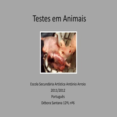 Testes em Animais