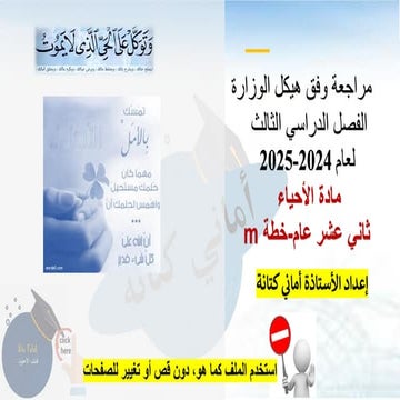 هيكل 12 عام   خطة m الملف20gfvjhddvkiuyf