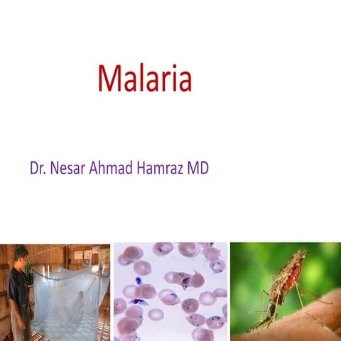 12 Malaria diagnosis and  managment.pptx