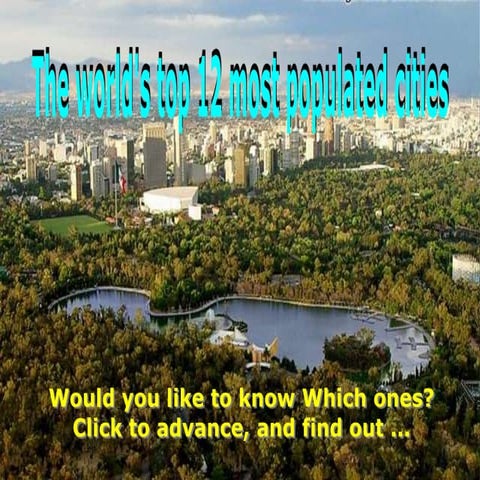 12 most populated_cities