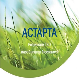 Олексій Криволапов, агрохолдинг «Ас...