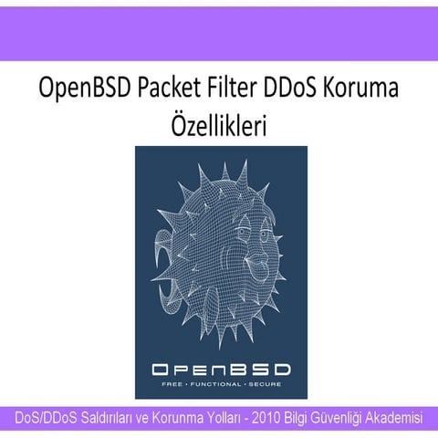 OpenBSD PAcket Filter DDoS Koruma Özellikleri