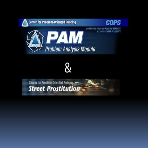 12 pam problem analysis module