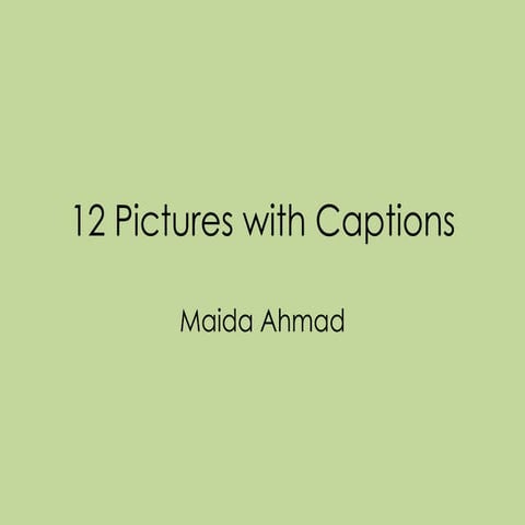 12 Pictures with Captions