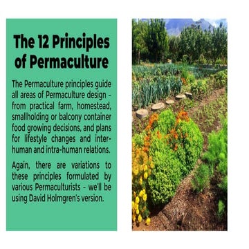12 principles of permaculture