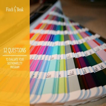 12 Questions to Scrutinize any Sustainability Strategy