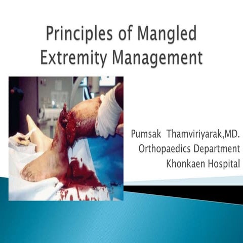 12 rw principles of mangled extremity management