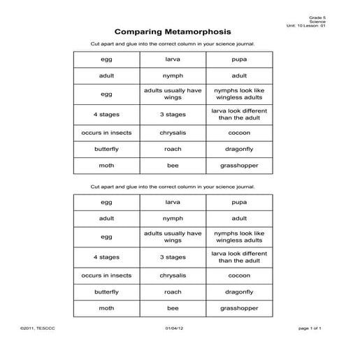 12 s051001 a_comparing metamorphosis