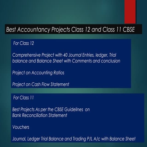 12 th accounts project