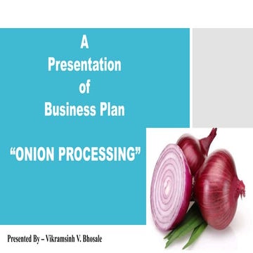 12 th Business Plan.pptx