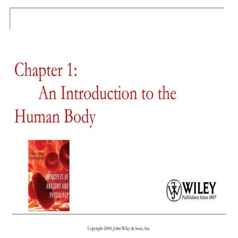 Introduction to Anatomy & Physiology