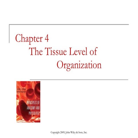 The Tissue Level of Organization