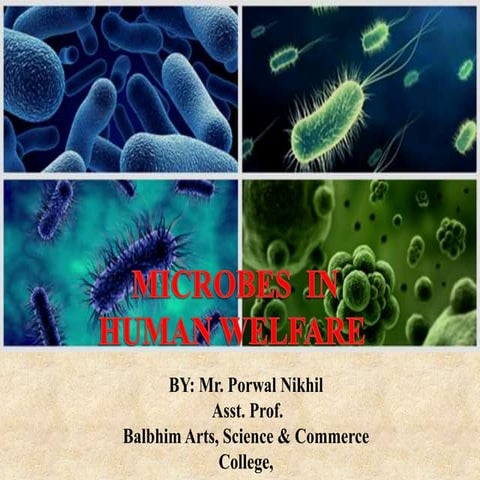 Microbes in human welfare 