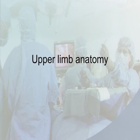 12 whole upper limb
