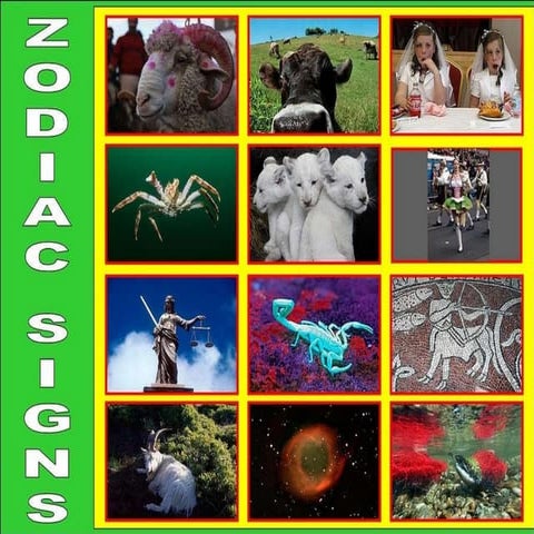 12 Zodiac Signs in Pictures