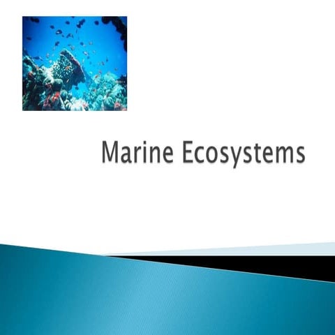 13   12 marine ecosystems