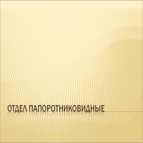 13 урок отдел папоротниковидные